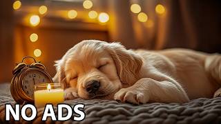 12 Hours Calming Music for Dogs 🎵 Relaxing Music for Dogs with Anxiety 🐶 Deep Sleep Music for Dog screenshot 4