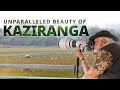 Exploring assams rich biodiversity pm modi at kaziranga national park