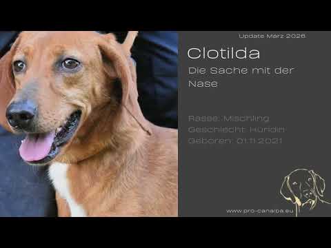 Clotilda - Die Sache mit der Nase_ März26