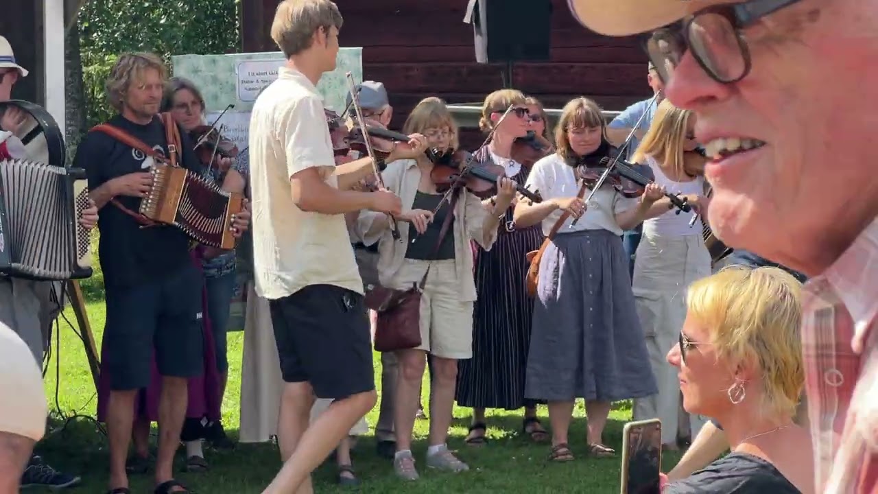 Inmarsch till Anundsjöstämman i Bredbyn 250726