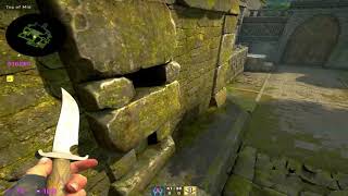 Insane Jump On Ancient