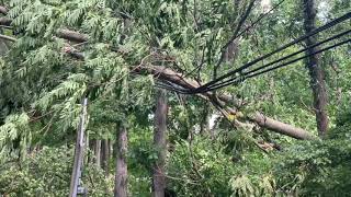 Bravery during tropical storm isiasis
