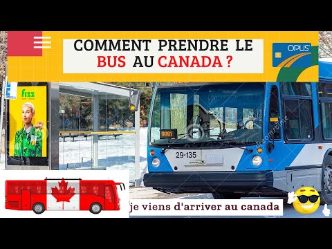 Vidéo: Comment se rendre de Montréal à Québec