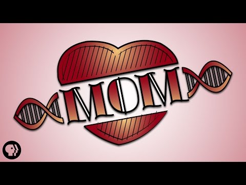 The Incredible Biological Connection We All Share With Our Mom