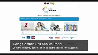 Using WisePay screenshot 3