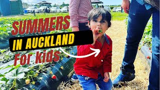 Favourite Summer activity for kids in Auckland!nz must do ! Strawberry farm visit
