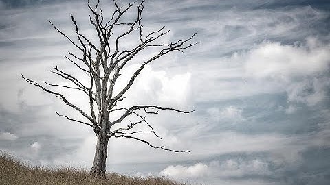 Video Lecture 306: Waiting for Godot (Last Part) by Arindam Ghosh