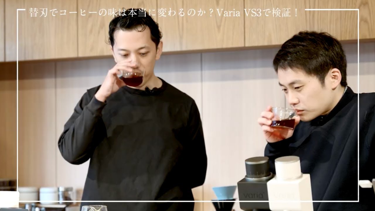 Varia Burr 第二世代(VS3第二世代専用替刃)