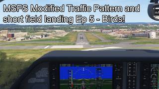MSFS Modified Traffic Pattern and short field landing Ep 5 - Birds!