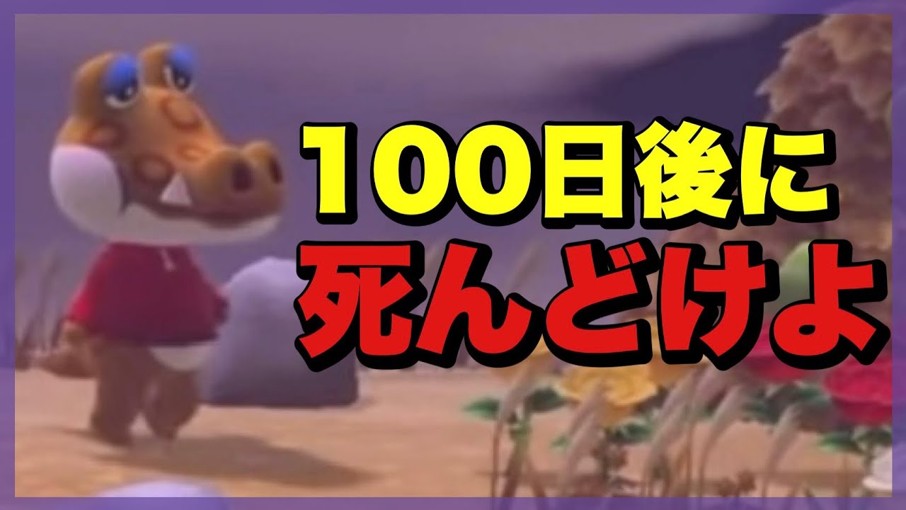 【あつ森】ブスに当たりが強すぎる志麻さん【閲覧注意】