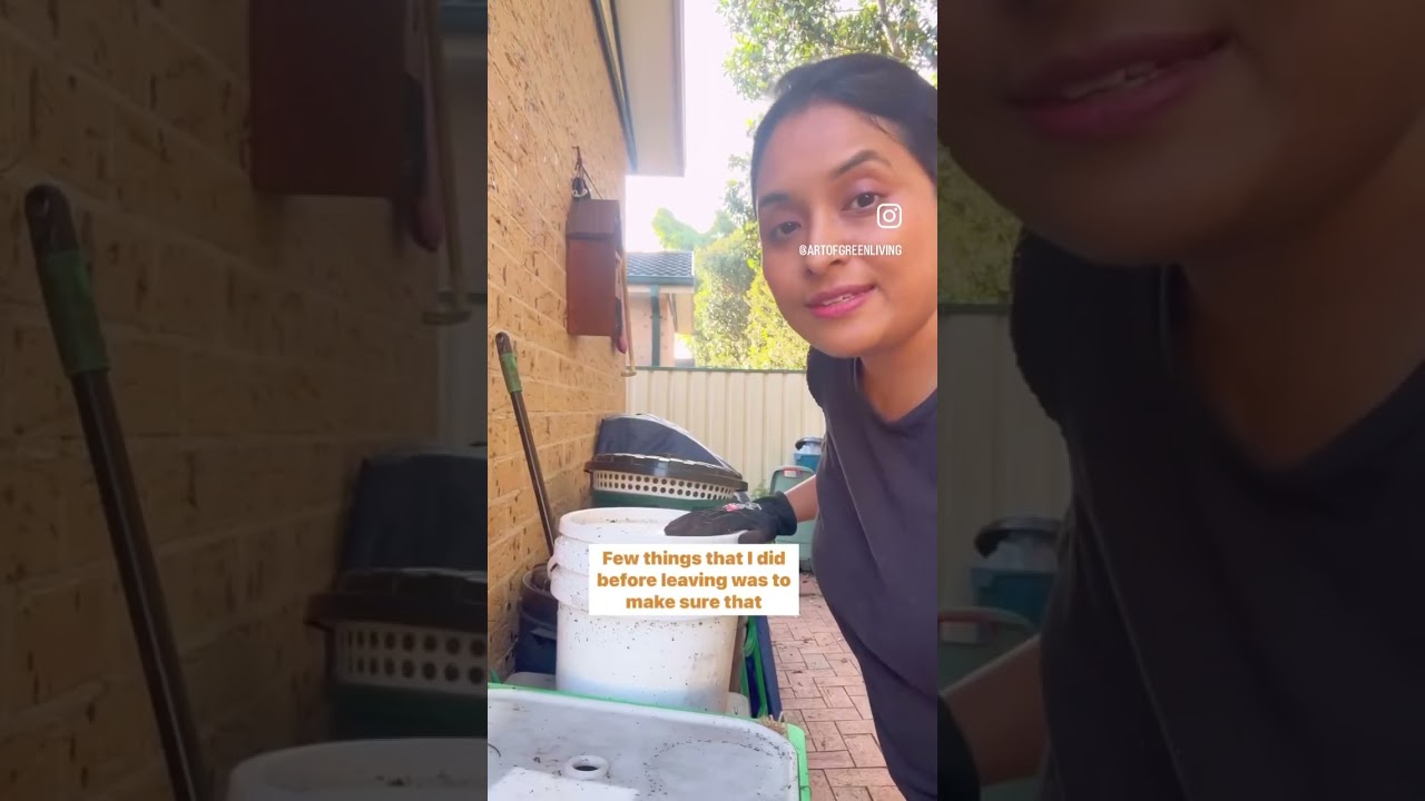 How to Take Care of Your Worm Farm while on Holidays| VermiComposting| Art Of Green Living| Compost