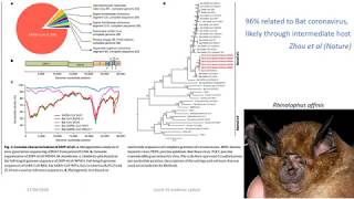 Covid-19 Evidence Update: Virology, Immunology and Therapeutics