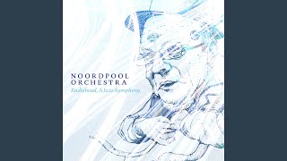Video thumbnail of "Noordpool Orchestra - Nude"