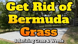 Get rid of Bermuda grass in Garden