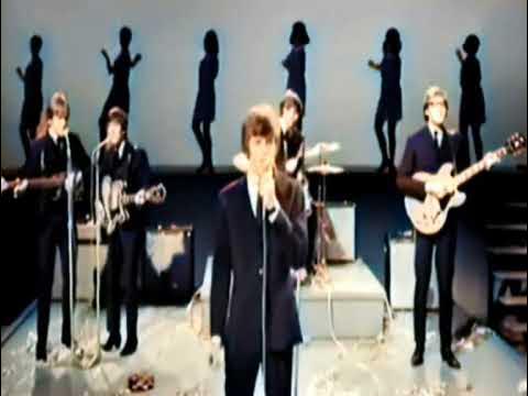 Herman's Hermits - Silhouettes  1965  Stereo Colour