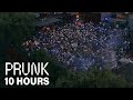 Prunk  10 hours  thuishaven