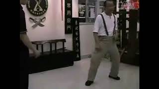 Wan Kam Leung Practical Wing chun (France) - Sifu Lee Teck Meng - Stance and mobility