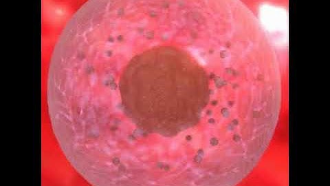 3dsmax: 3d Cells Divide demo