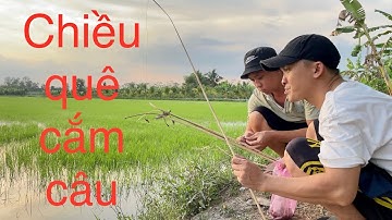Chiều quê cắm câu kiếm cá làm món cá nướng trui đơn giản thơm lừng ( tập 1 )