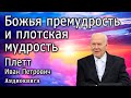 Плетт И.П. Божья премудрость и плотская мудрость. Аудиокнига