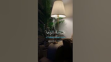 سورة القدر - ناصر القطامي 💜🌿 #ناصر_القطامي #تلاوة_خاشعة #quran #ترند #السعودية