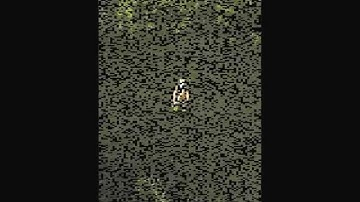 World of Warcraft all GM Private Server