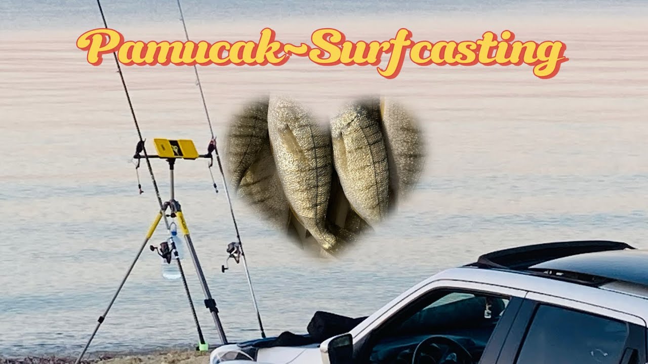 PAMUCAK Surfcasting Balık Avım. Yine Mera beni Mırmır’Ladı😅 Doğa,Terapi,Huzur ve Gecenin Ayazı 🥶