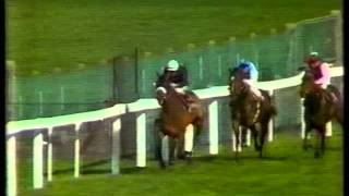1984 Queen Elizabeth II Stakes