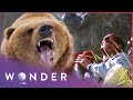 Grizzly Bear Attack Leaves Multiple Casualties | Human Prey S1 EP3 | Wonder