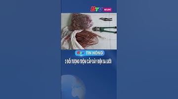 2 đối tượng trộm cắp dây điện sa lưới | BTV - TRUYỀN HÌNH BÌNH DƯƠNG