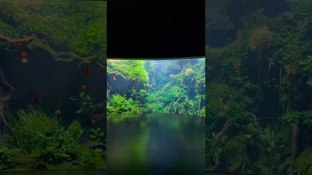 MASSIVE AQUASCAPE 12 meters long 4 meters deep