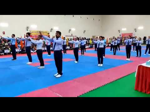 Taekwondo Referee