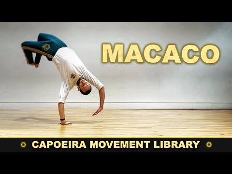 Macaco | CAPOEIRA MOVEMENT LIBRARY