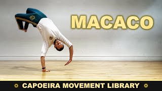 Macaco | CAPOEIRA MOVEMENT LIBRARY