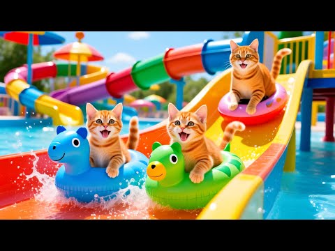 Mama Cat Trims Fur On The Farm And Makes Tiger Hat For Kittens At Home 