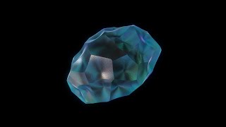 Crystal Loop