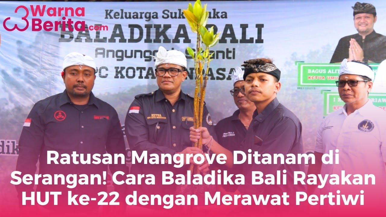 150 Mangrove Ditanam di Serangan! Cara Baladika Bali Rayakan HUT ke-22 dengan Merawat Pertiwi