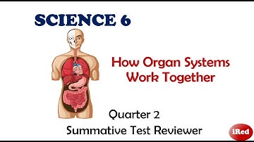 Science 6 Quarter 2 Science Reviewer ORGAN SYSTEMS