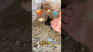 48°C Ki Garmi Mein Murgon Ko Shower | Aseel Care Mini Vlog #shikarihouse #minivlog #aseel #pets #yt
