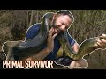 Getting attacked by a huge anaconda  primal survivor