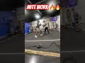 Mitt Work #viral #boxing #floyd #boxingtraining #mma #boxingworkout #algorithm #fighter #combatsport