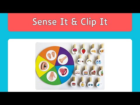 2. Game 2 : Sense It & Clip It (B002) - video from Ideal Experiential Learning