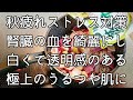 【美味しすぎる】タコスライス風スープで停滞した気血を流し、うるつや透明感のあるお肌を手にいれる！