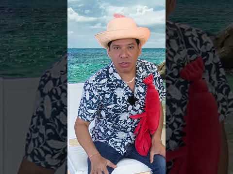 Nueva Temporada en Garnacha Channel
