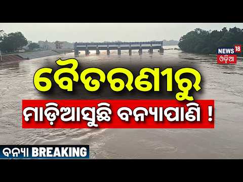 ବୈତରଣୀରୁ ମାଡ଼ିଆସୁଛି ବନ୍ୟାପାଣି ! Flood in Baitarani River | Water Above Danger Mark | Jajpur Flood