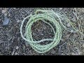 Making yucca cordage