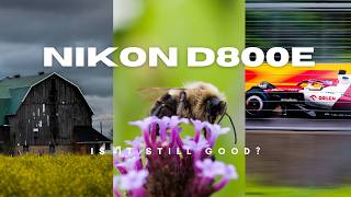 Is the Nikon D800/D800e Still good in 2026?