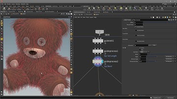 Hair & Fur | Guide Process