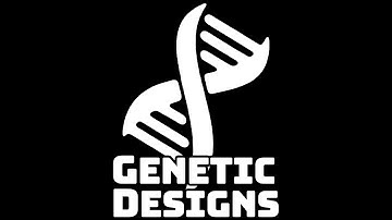 Current SnapMaker U1 Print Job: Harry Potter Planter @ Genetic Designs