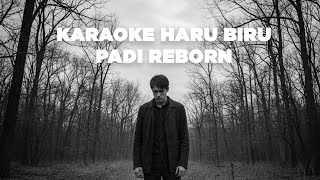 HARU BIRU KARAOKE - PADI REBORN